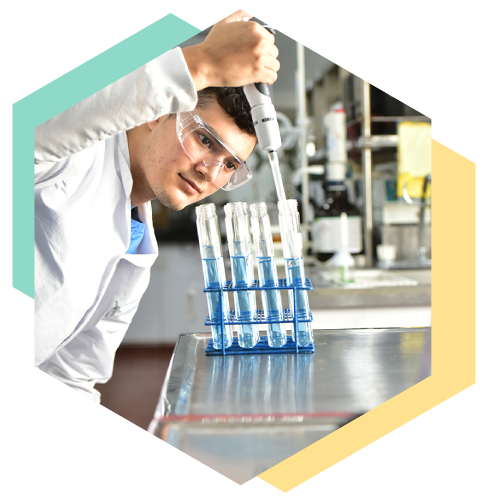 Ciencia, investigación, desarrollo en Sucroal